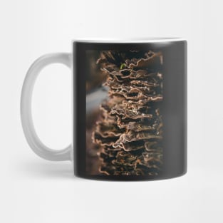 Fungi on tree bark Mug